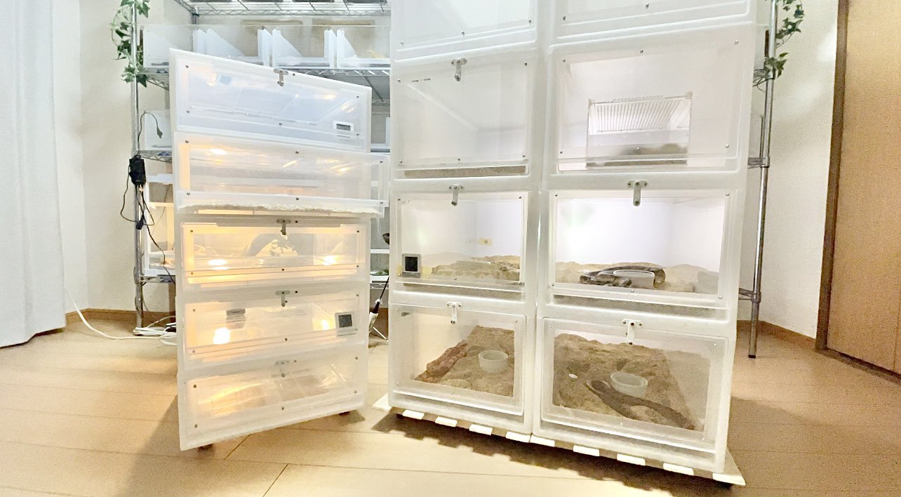 爬虫類ケージ 無印良品ケース改造 ボールパイソンやレオパ、アオジタ 爬虫類ケージ 無印良品ケース改造 ボールパイソンやレオパ、アオジタ