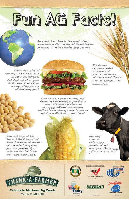 Happy National Ag Day! Today is the official day to celebrate agriculture!