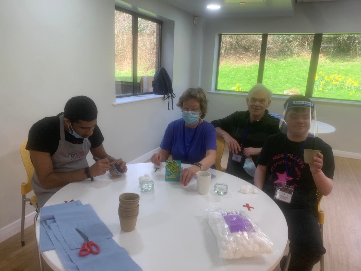 Purple Shoots tweet media