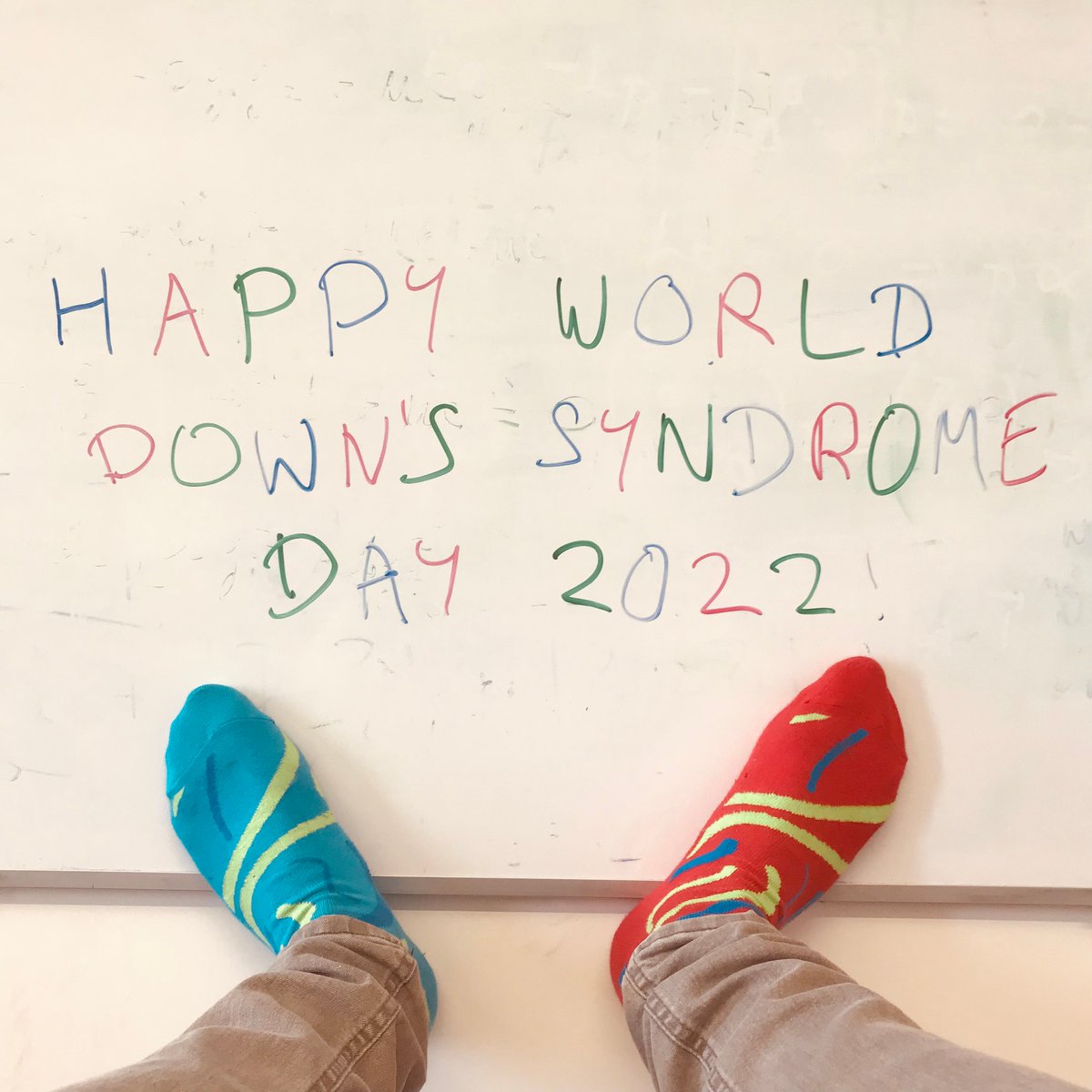 Purple Shoots tweet media