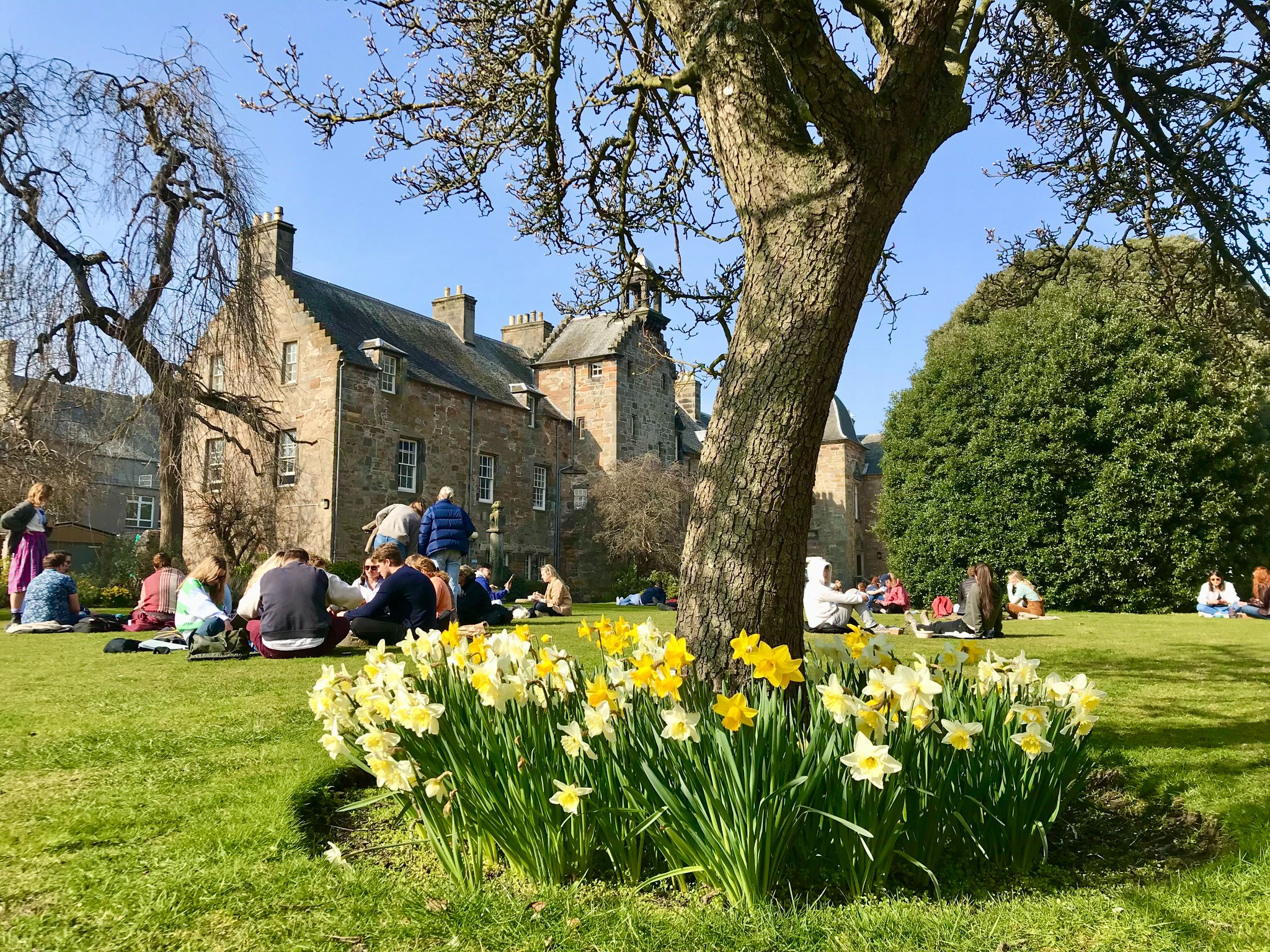 University of St Andrews on Twitter "Spring has arrived in St Andrews