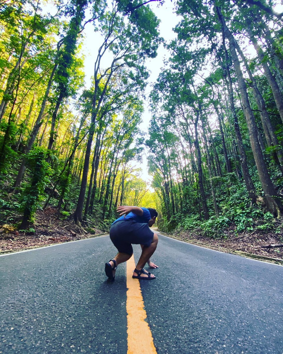hyp3r_sol's tweet photo. Ninja running at Bohol, Philippines Man Made Forest. Feel like super fly 🚀 #ionsfollowions #ImaginaryOnes @Imaginary_Ones @cmttat https://t.co/3zE0tFrwWo