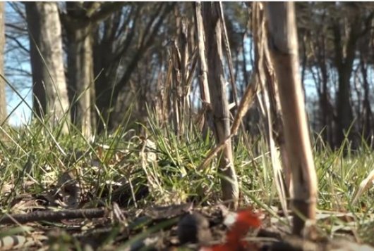 mijnkringloopwijzer.nl/actueel/nieuws…