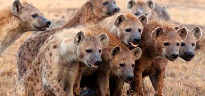 La puerta de los juzgados de Malaga esta mañana… #isabelpantoja