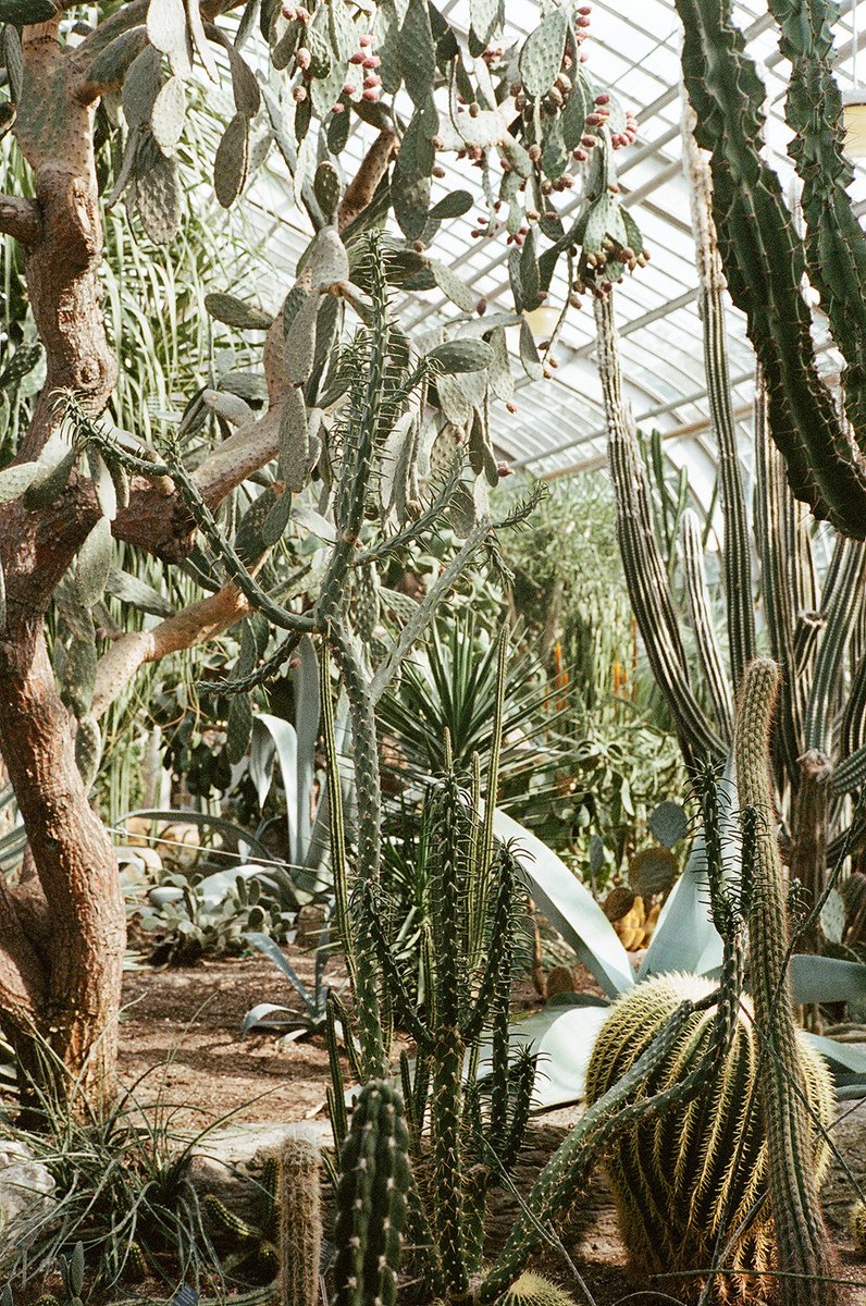 Archillect (@archillect) on Twitter photo 