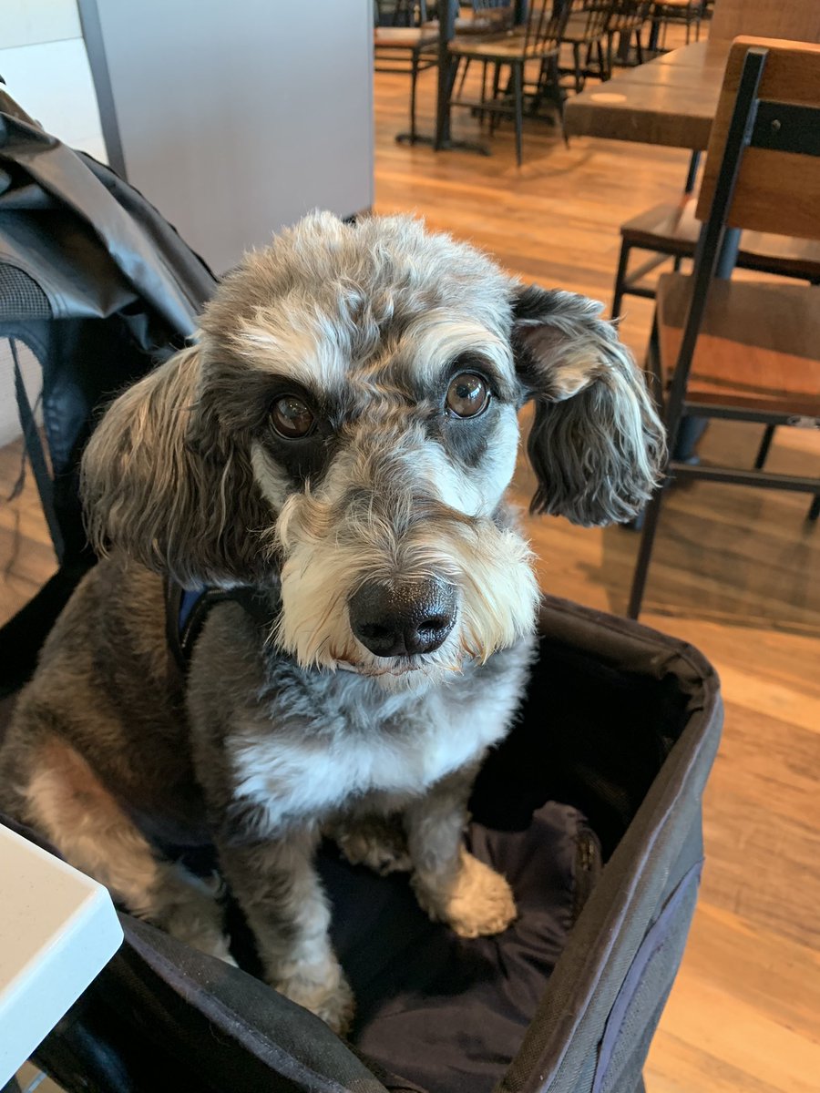 Well we went to the First Watch for breakfast this morning, while waiting for new tires to be put on our car.