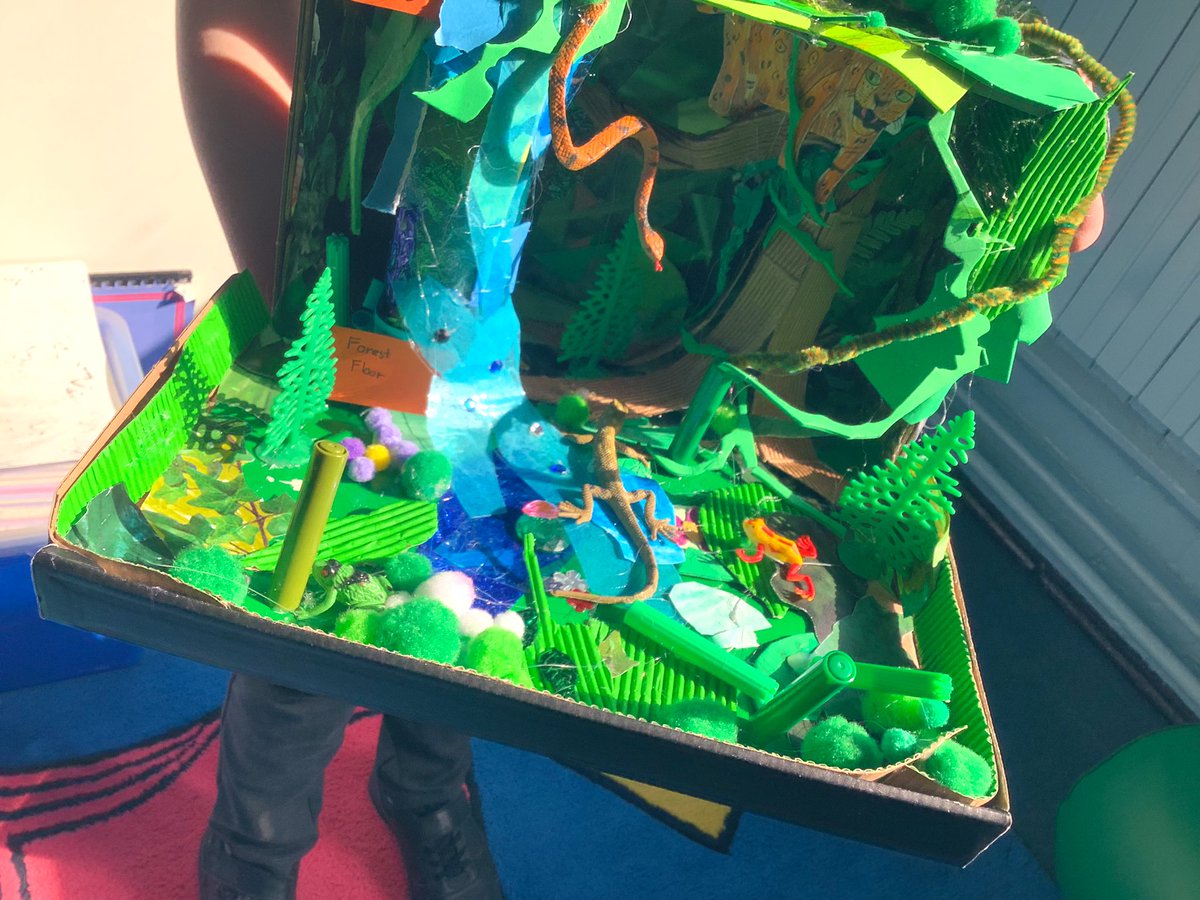 An incredible #Amazon rainforest model from a #KeyStageTwo child 🌟#homework #creativity