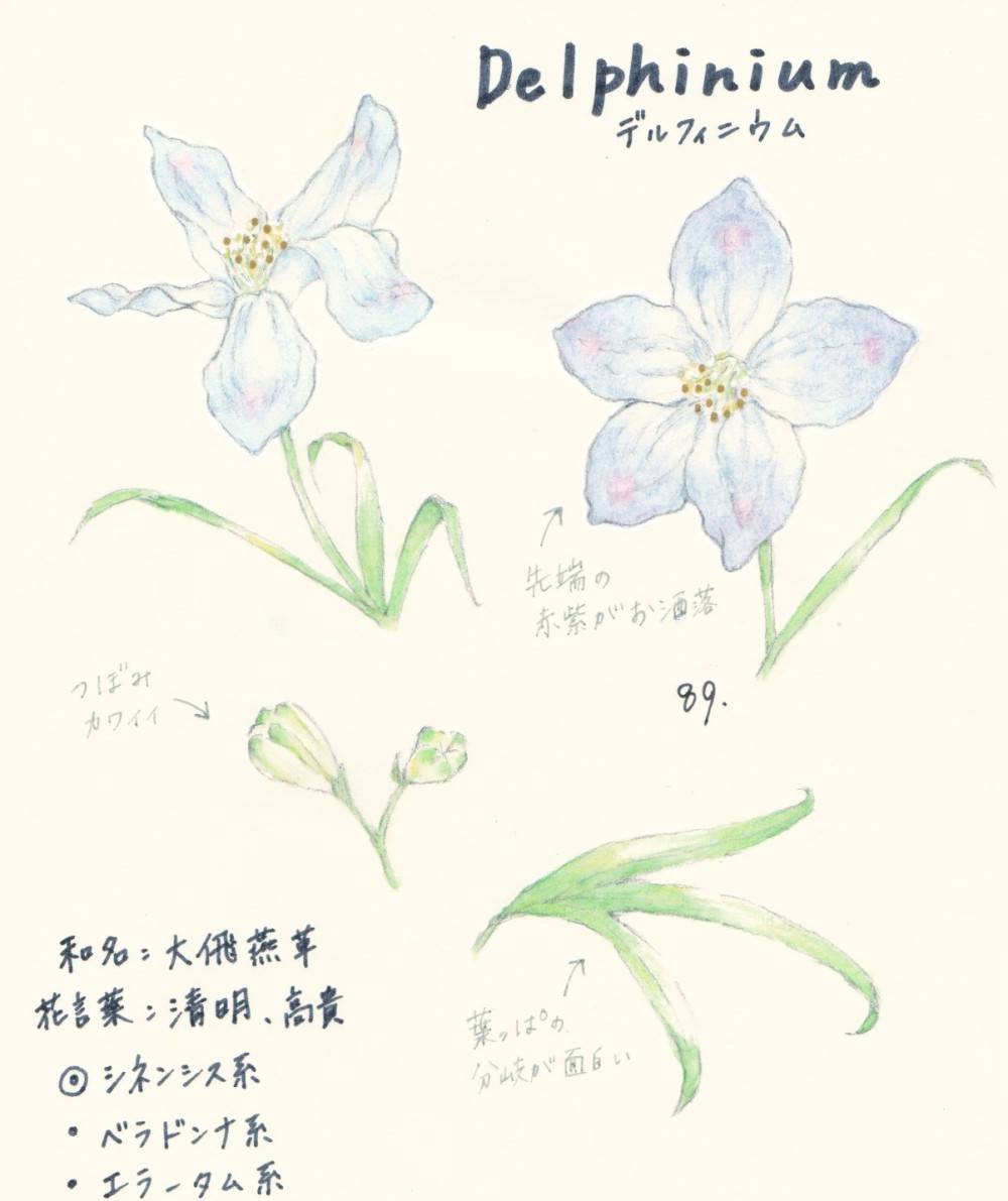 ひるが やく Hiruga Twitter