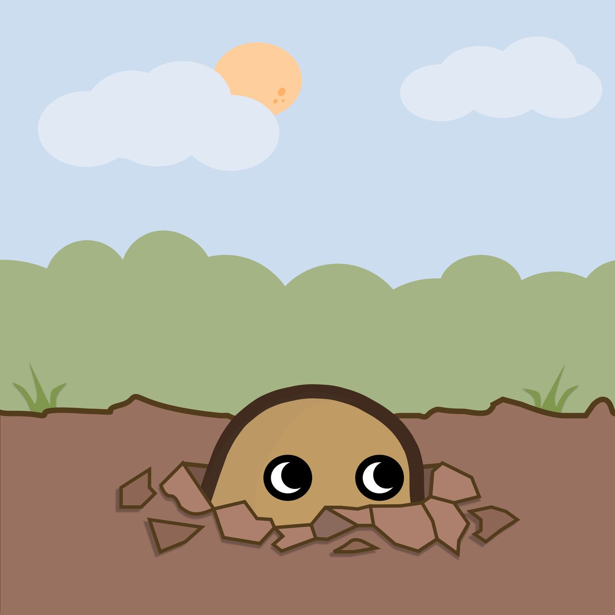 NonFriedPotato's tweet photo. GM Twitter ☀️

Something's growing here....🌱 https://t.co/M7WB6FvYpP
