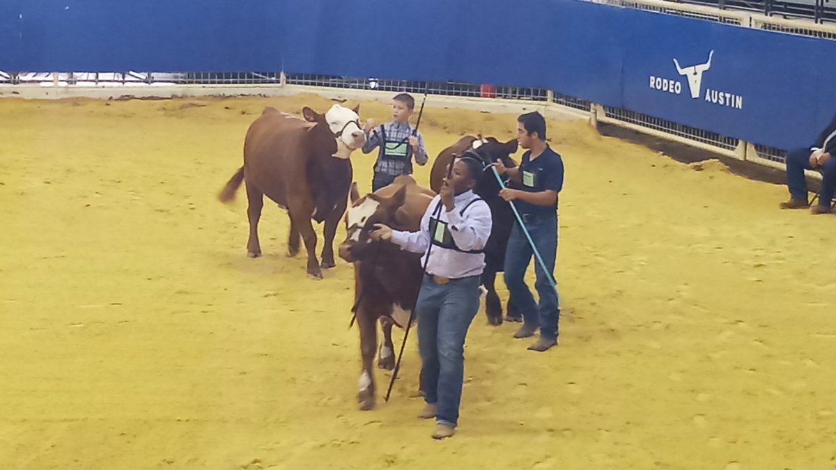 cypressparkffa's tweet photo. Congratulations Eddie for placing 5th in class @ the AustinSteer Shiw. One spot away again from auction. Remember Eddie that defeat is not the worst of failures. Not to have tried is the true failure. You gave it your all &amp; that's all you can do! #RiseUp #ITT https://t.co/1Q1GT0tFrN