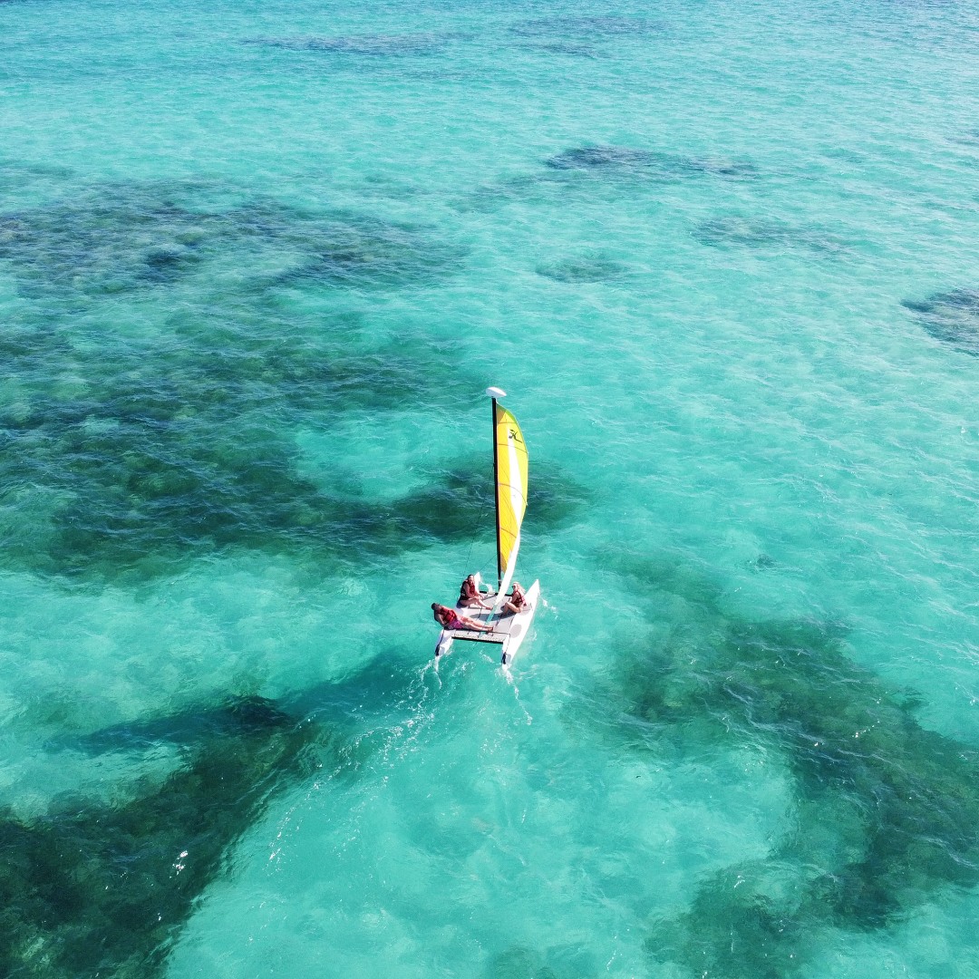 Paradisus Palma Real (@paradisuspreal) on Twitter photo The cure for anything is saltwater. Happy World Water Day! 📷<a href="/caiorochalb/">Caio Albuquerque</a> #EmbraceYourNature #ParadisusByMelia #PuntaCana The cure for anything is saltwater. Happy World Water Day! 📷<a href="/caiorochalb/">Caio Albuquerque</a> #EmbraceYourNature #ParadisusByMelia #PuntaCana