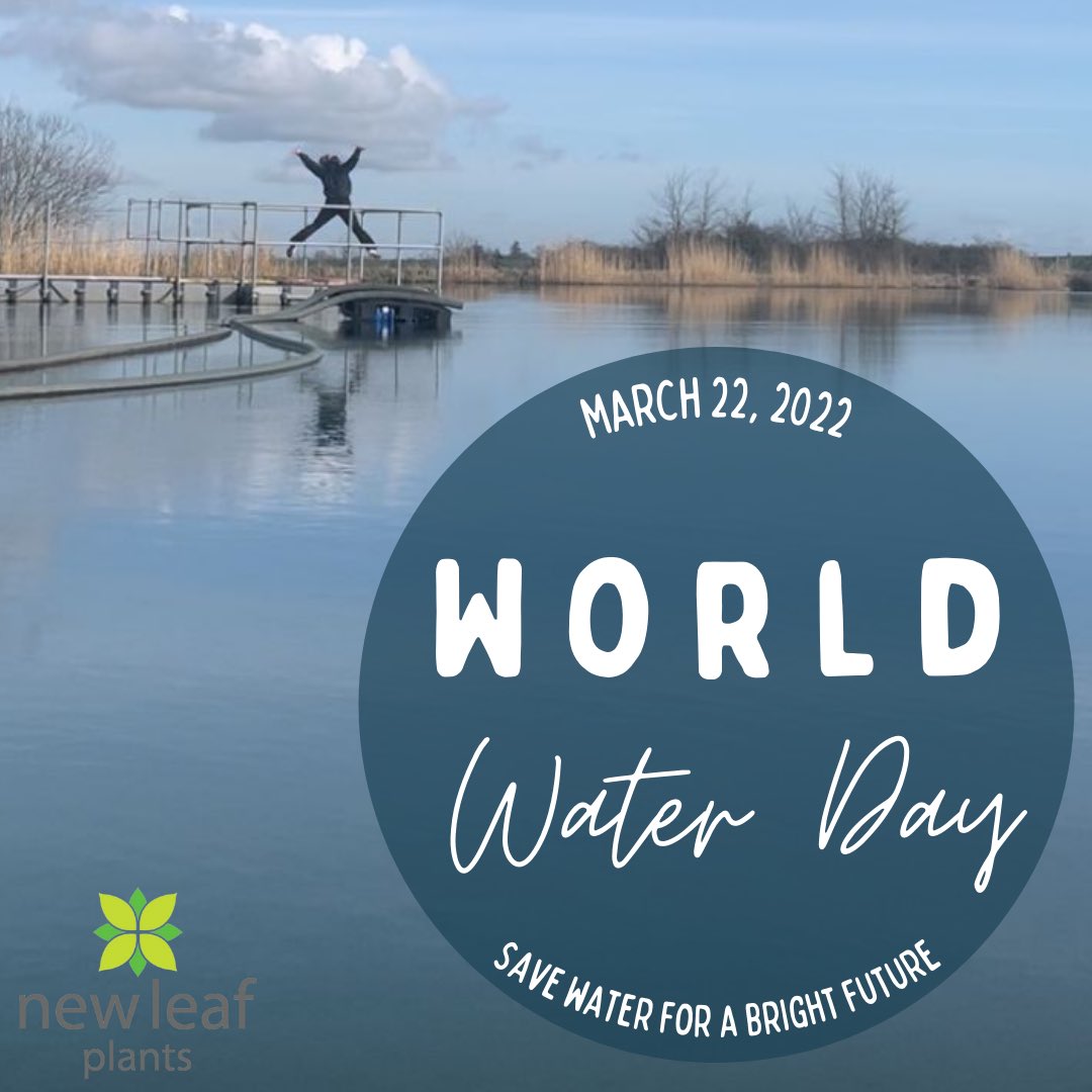 Happy world water day! We are lucky to have our own reservoir that we use to water all of our nursery, what do you do to save water? 
.
.
.
#worldwaterday #waterday #worldwater #savewater
