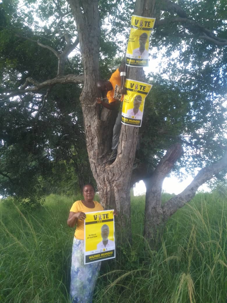 ccczvimba's tweet photo. Here in Zvimba South Ward 33 we are busy with our door to door and putting up posters for our candidate Wilfred Muindisi. @hwendec

#NgaapindeHakeMukomana https://t.co/mpB6TkRz77 https://t.co/fVCRnS5B2D