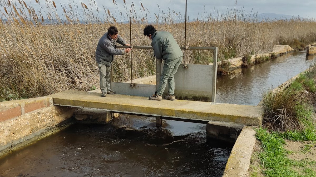 📅💧Al #PNPratCabanesTorreblanca revisem canals i séquies i actuem a les infraestructures hídriques per afavorir el denatge de les fortes plutges esdevingudes i les previsions d'alerta vigents a la nostra zona #DiaMundialdelAigua 🏞️