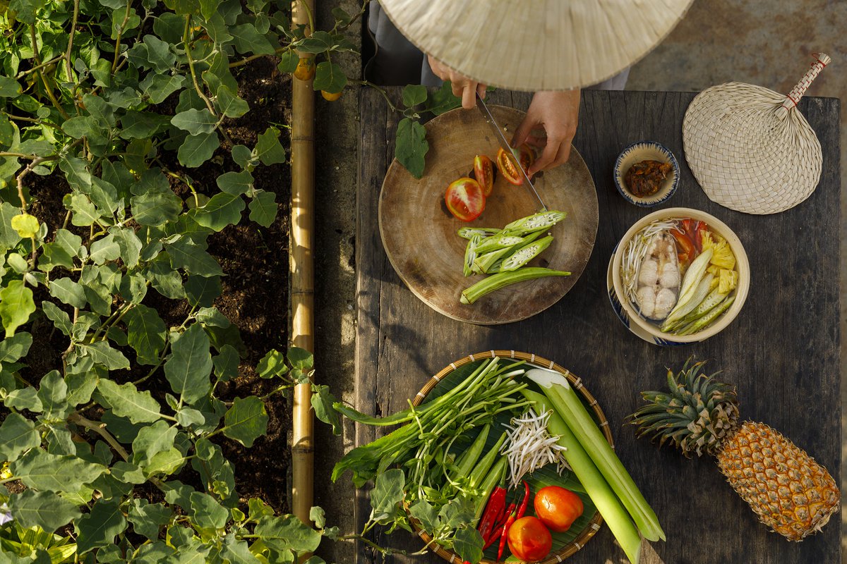 GlobalFood_Camb's tweet photo. 'Archaeobotany and plant archaeogenetics: problems, prospects and potential for global #food security.' 

🥑🍅🍎

Join us on 25 March at 2 pm GMT, to hear Dr Daniel Fuks (Archealogy) discuss this pertinent topic: https://t.co/uNr8gPpGH2 https://t.co/xPpLPq5M19