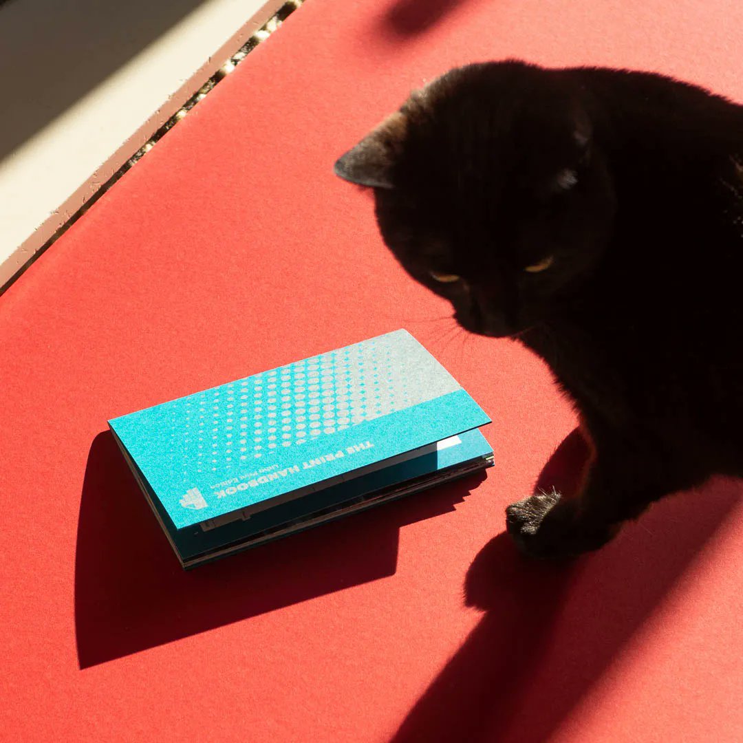 When the cat tries to help when I'm taking photos. Say hello to Coco everyone. #printhandbook #cmyk #hpindigo #litho #digitalprint #illustration #logodesign #branding #color #colour #design #graphicdesign #creative #printproduction #adobe #indesign