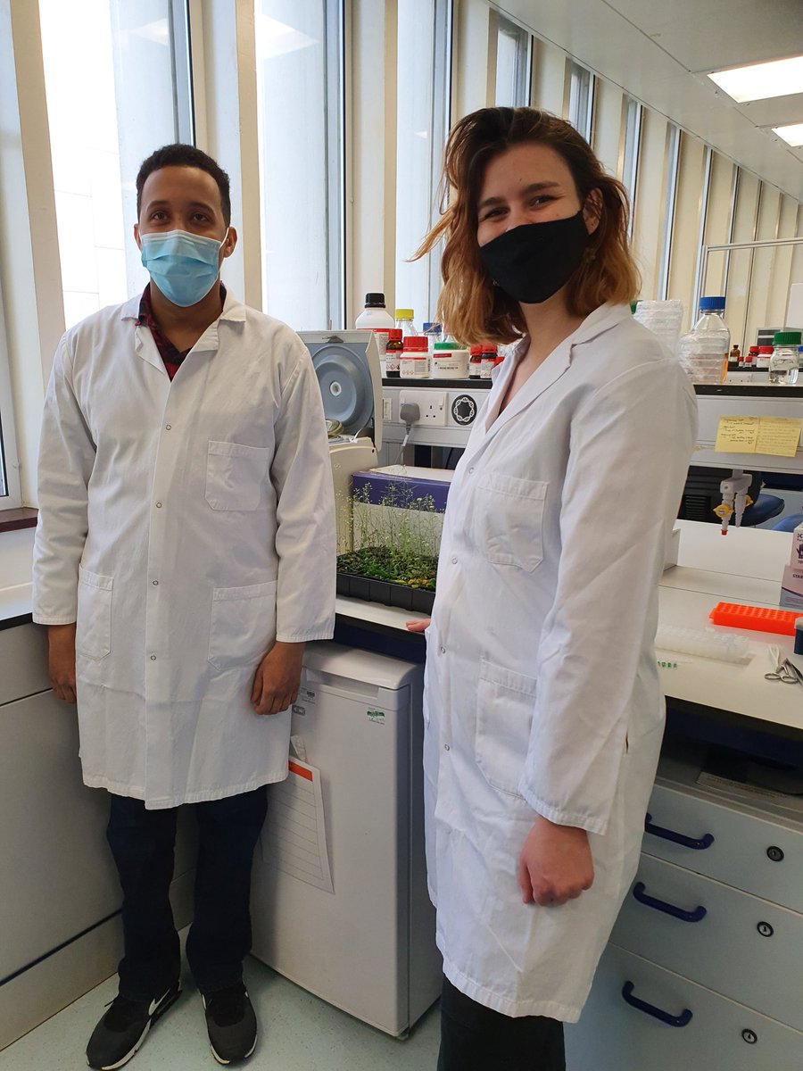 Filming in the lab to show the Advanced Laboratory Skills module which is part of the MSc/MRes Advanced Biological Sciences here at Exeter. Thank you to Prof. Vinod Kumar and @Dr_JohnLove for allowing us unto your labs. #researchledteaching  @UoEBiosciences @UniofExeter