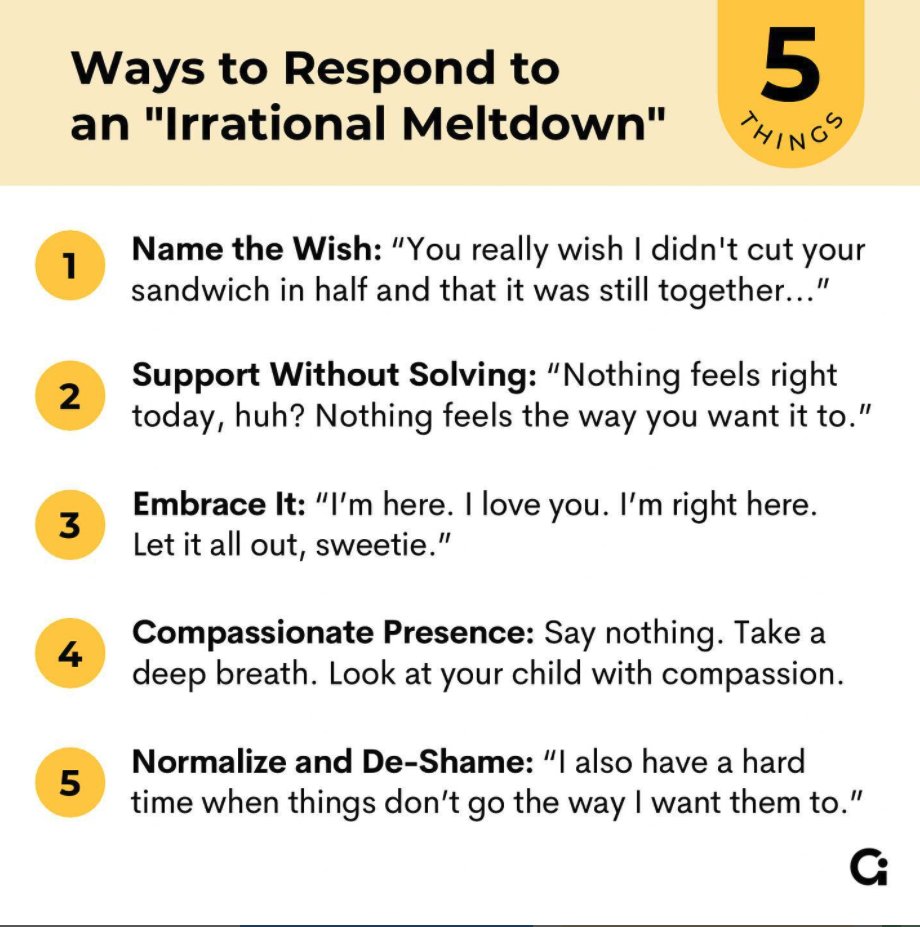 When children are overwhelmed by big emotions, it's our job to share our calm, not join their chaos. Tantrums are normal and healthy, and Dr. Becky Kennedy shares five ways to respond to an irrational meltdown.