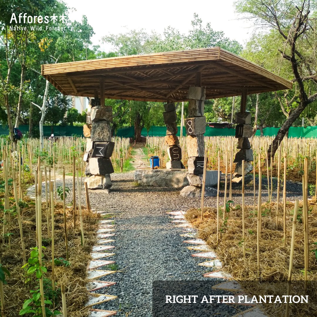 afforestt's tweet photo. The Debris Backstory
#forests #debris #soilcleaning #soil #Afforestt #forestcreation #forestation #urbanforest #projects #backstory https://t.co/qlZmbjOT1t