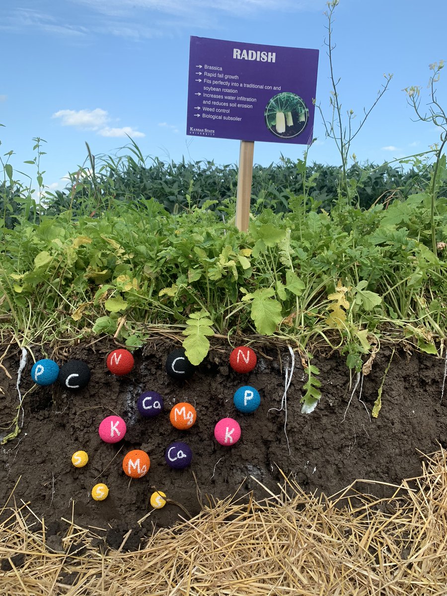 Agronomy, Crop, and Soil Science Societies tweet media