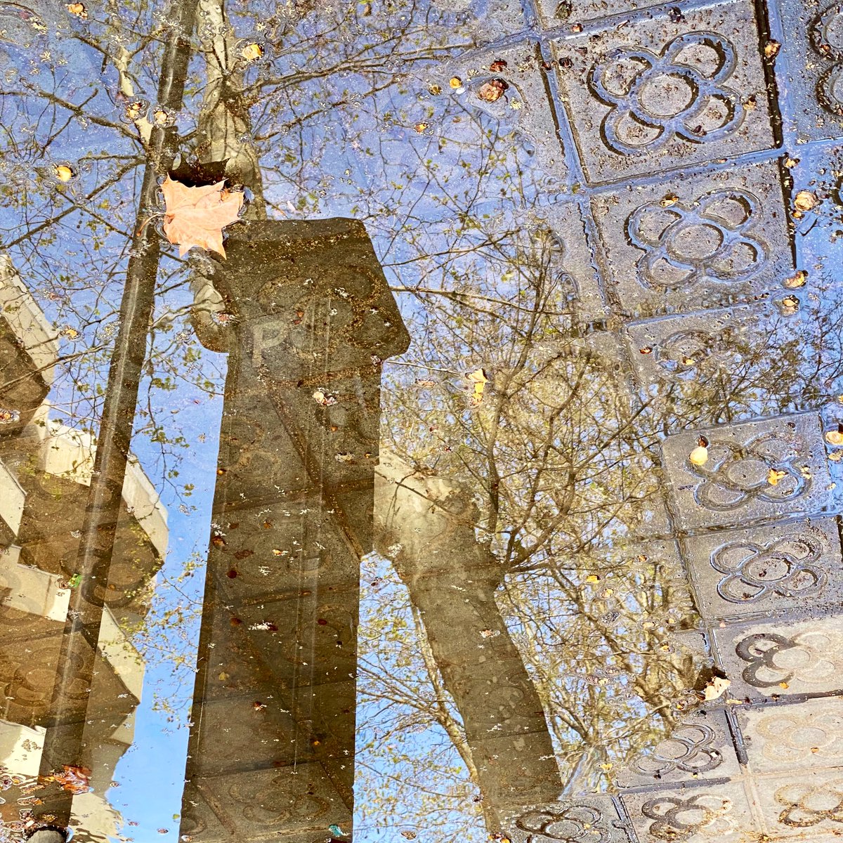 Panot_es's tweet photo. 😅 Foto conceptual porque ya entró la #primavera 🌻 #Panot #Barcelona https://t.co/c7JKSmhl5q