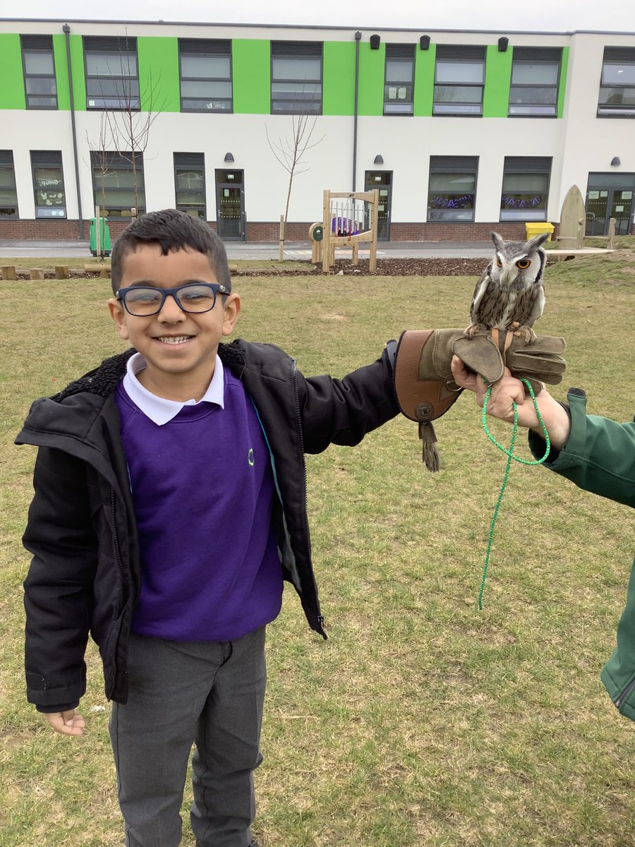 olive__preston's tweet photo. Year 2 had a great time learning about owls. #MakingLearningComeAlive #English #NonChronologicalReports #Ambition #WeAreSTAR https://t.co/Ed0rfKBUkH