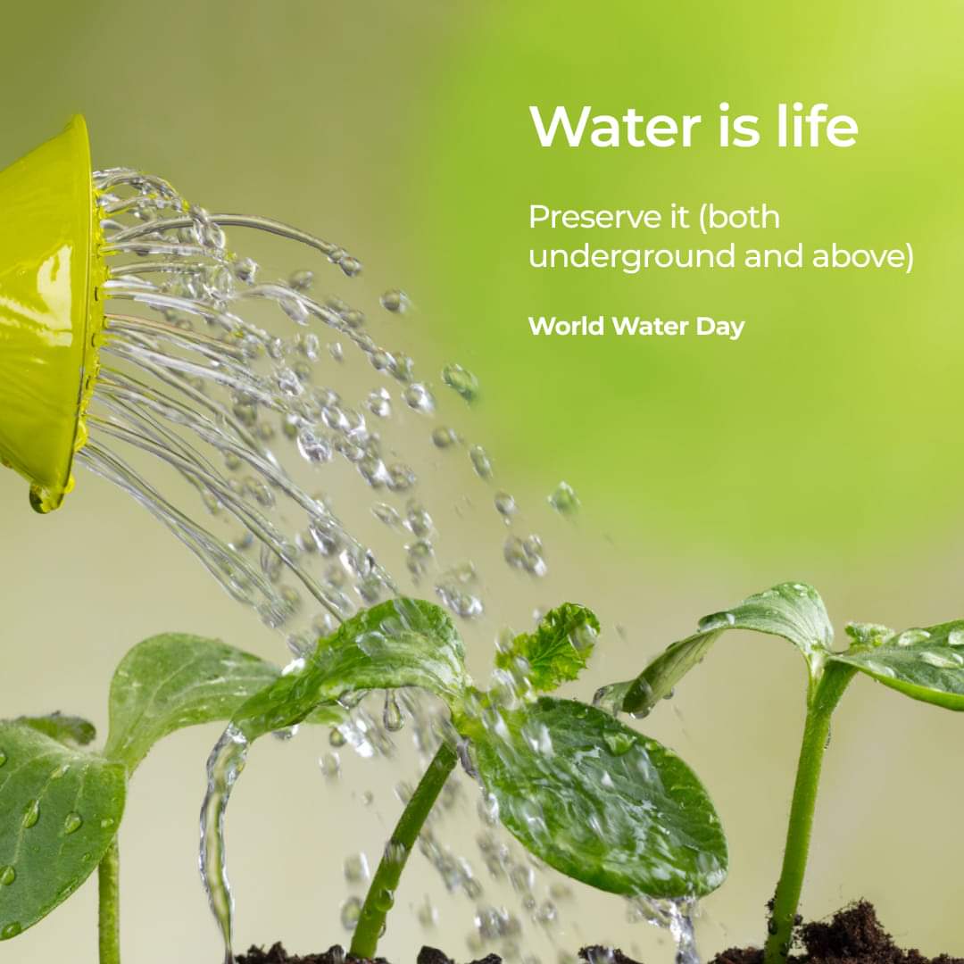 ABCOA_Danbatta's tweet photo. Audu Bako College of Agriculture Danbatta Kano State celebretes World Water Day

Happy World Water Day 
#Abcoad
#groundwater
#freshwater
#agriculture https://t.co/WYXsUELxj7