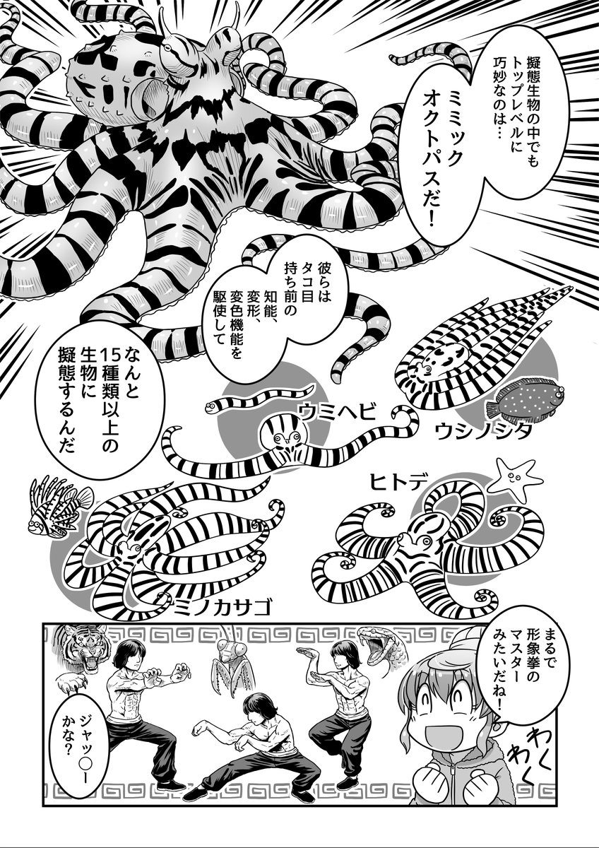 道金博子の生物ザツ学記 第8話 1/2
生物の擬態を紹介!! 