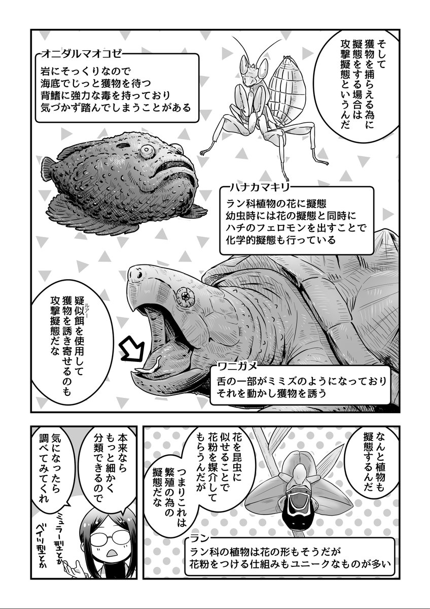 道金博子の生物ザツ学記 第8話 1/2
生物の擬態を紹介!! 