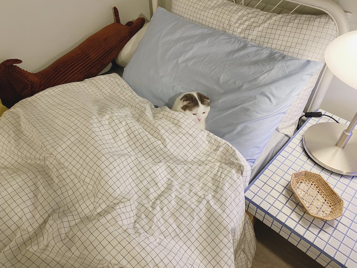 jiewliewnjiggo's tweet photo. ชัลจา~ 🛌🌙☁️ https://t.co/u9ZGW7s7M5