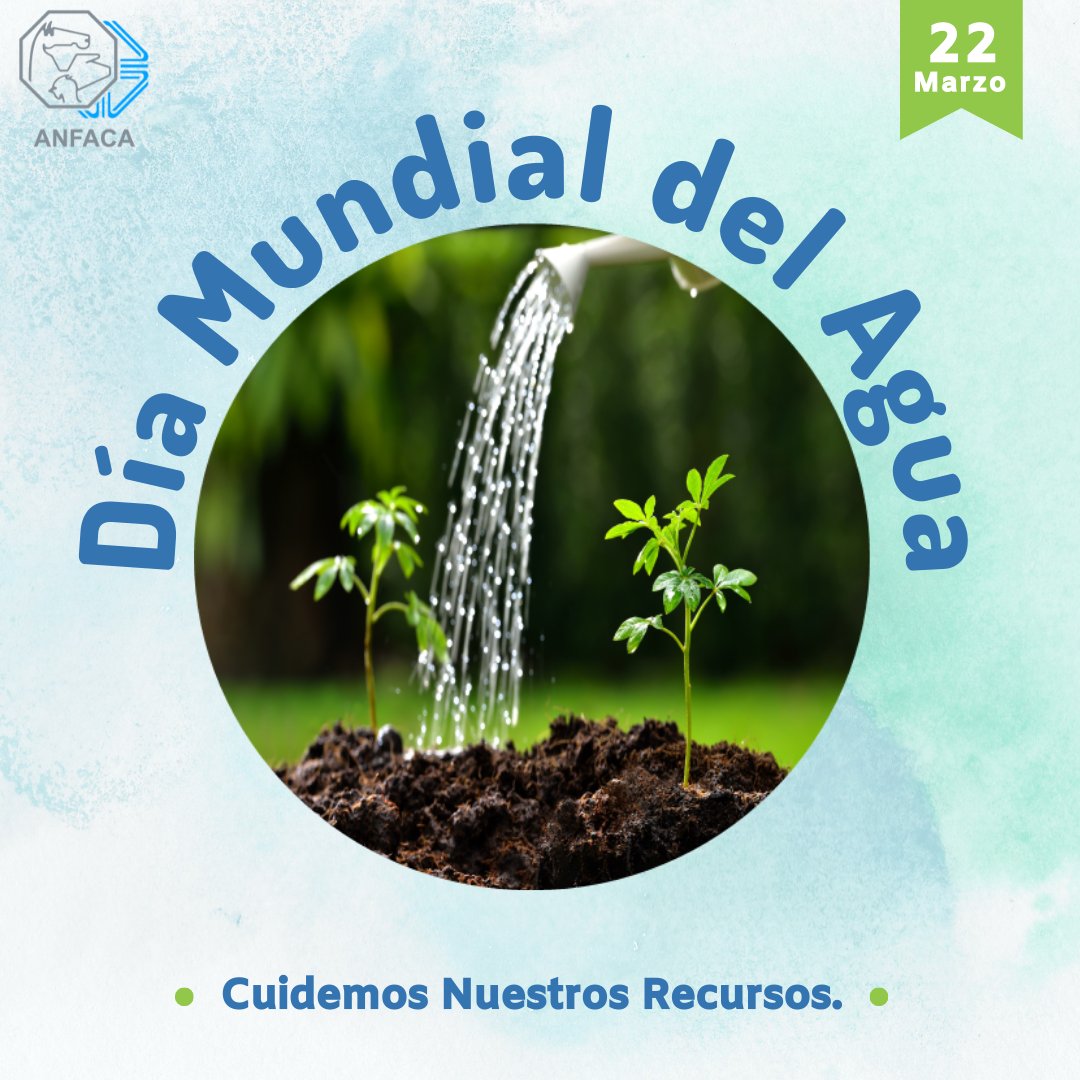 ANFACA_SC's tweet photo. Si no comprendemos el valor real y multidimensional del agua, difícilmente podremos perseverarla💦🌱

#Marzo22 #DiaMundialdelAgua2022 #agro #Anfaca https://t.co/xr8FomJjKm