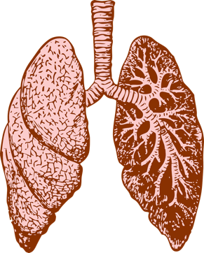 NowAwareDx's tweet photo. Those suffering from #COPD, chronic obstructive pulmonary disease, experience significant care gaps in the medical treatment and management, leading to unnecessary deaths and hospitalizations. Please https://t.co/NIL49vvSgK