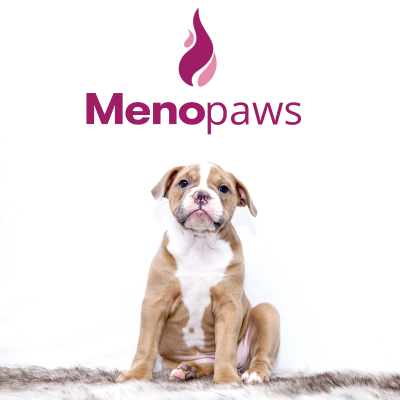 MenoHealthUK's tweet photo. Calling all animal lovers! 

Did you know your pet can help you to have a more manageable menopause? Pets can lower stress, reduce anxiety and offer great support with their unconditional love. 

#MenoHealth #Menopause #Menopausesupport #MenoClass #MenoHealth #Menopausetreatment https://t.co/vwzSXoCQvd