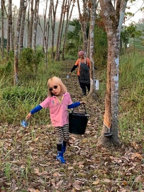 มิส รำพึง tweet media