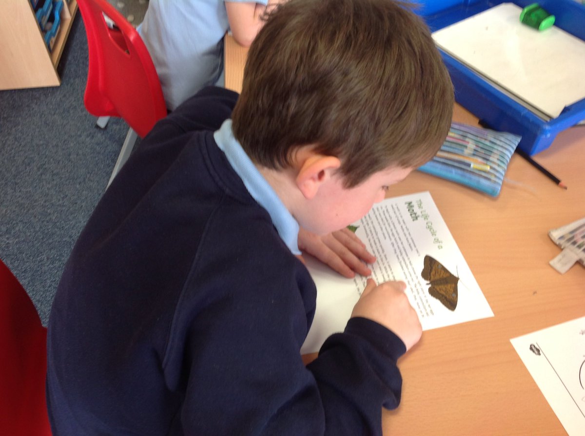 Class6JP's tweet photo. Today we have been reading and sharing different explanation texts to find out what is the same and what is different about them. #superreading! https://t.co/jkMJX0Ul2a