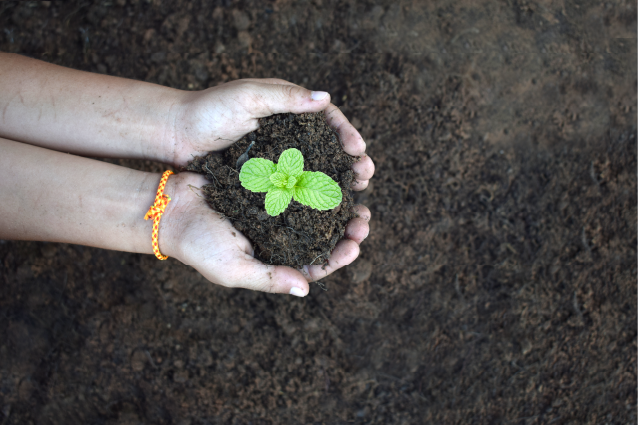 Yesterday was #internationaldayofforests, which celebrates and raises awareness of the importance of all types of forests. 

We dedicate £100,000 each year to native tree planting, serving as an amplifier for projects with our customers, and other partners.

#intlforestday