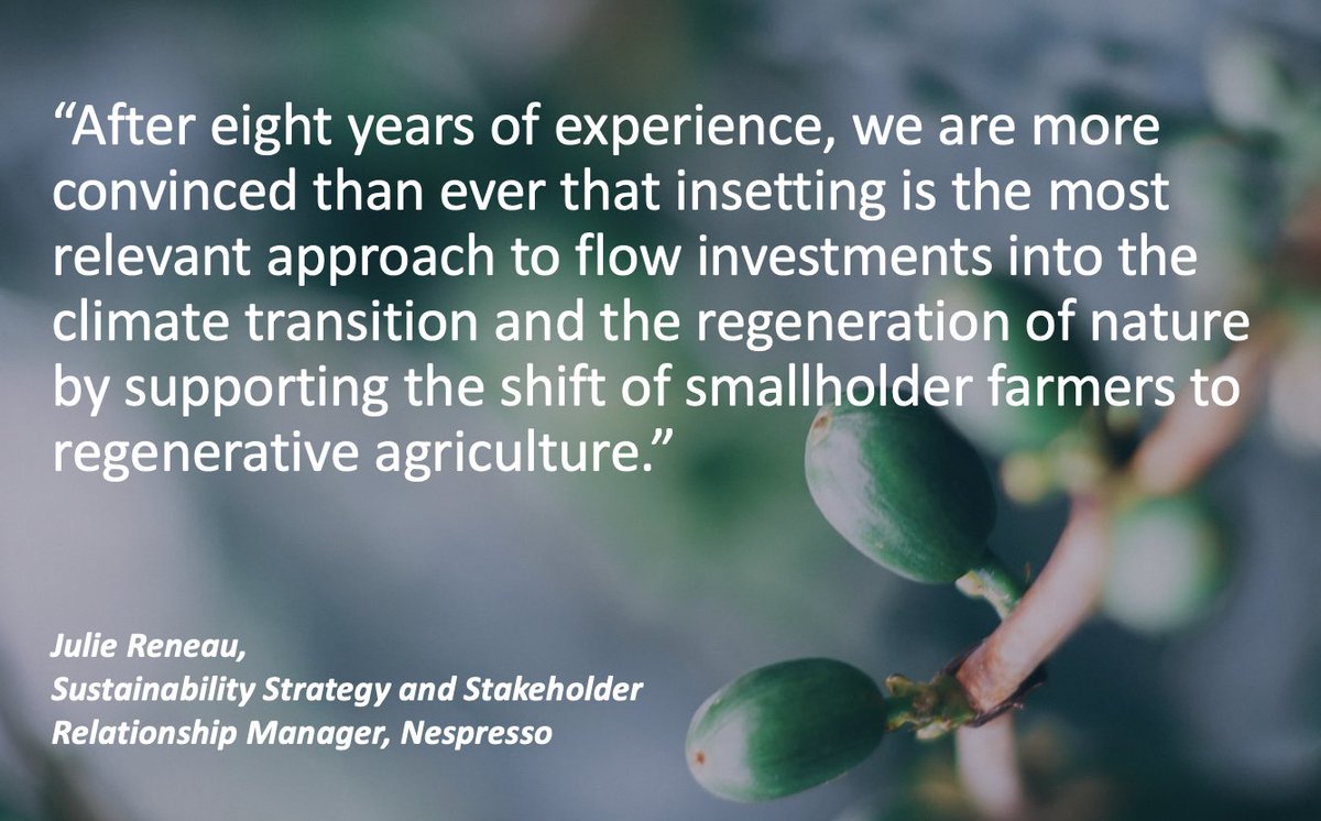 International Platform for Insetting tweet media