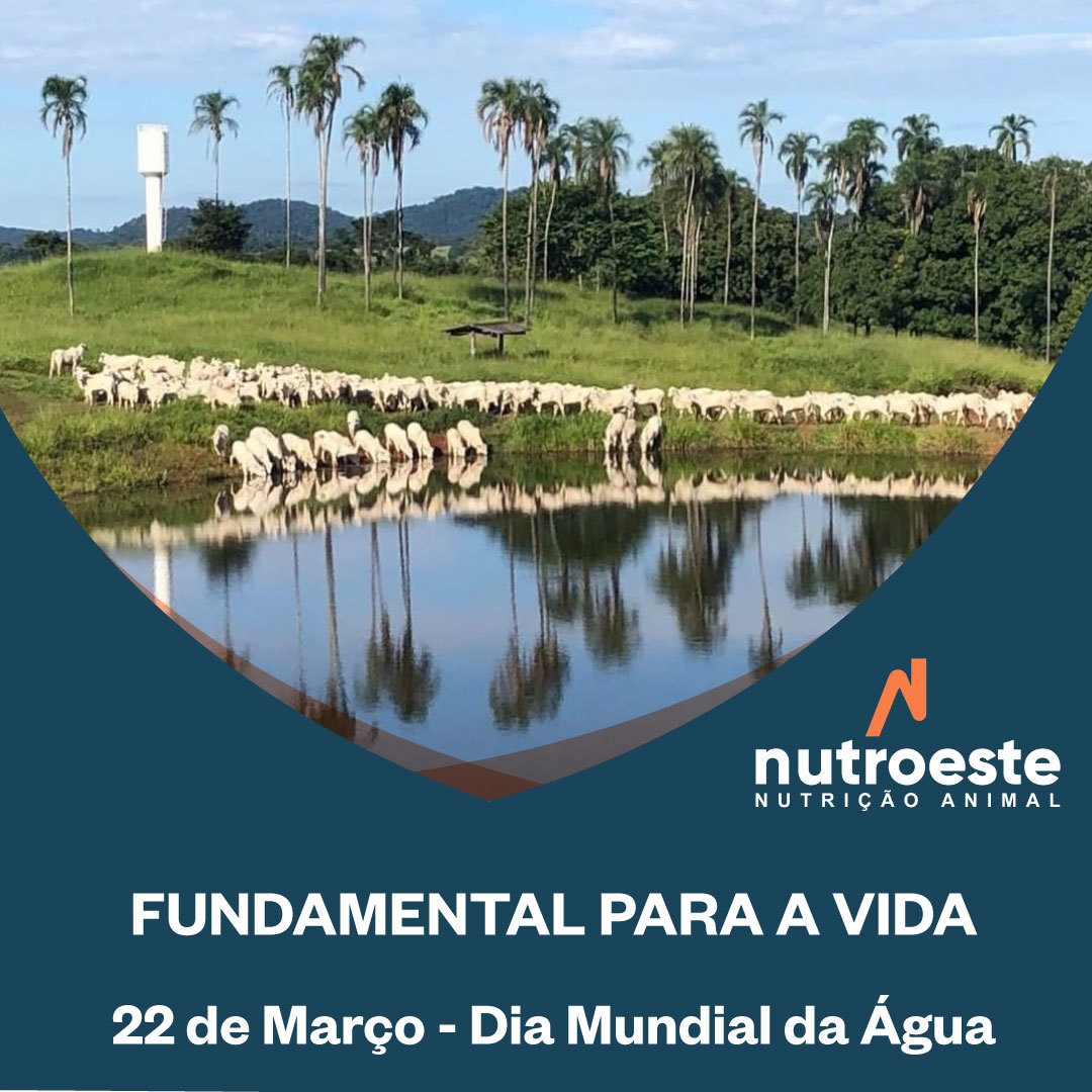 NUTROESTE's tweet photo. Fundamental para a pecuária e para vida, comemora-se hoje o dia mundial da água.
.
#somosnutroeste
.
#nutroeste #diamundialdaagua #agua #agronegocio #agropecuaria #oagronaopara #pecuaria #pecuária https://t.co/AX8xFZ0Iop