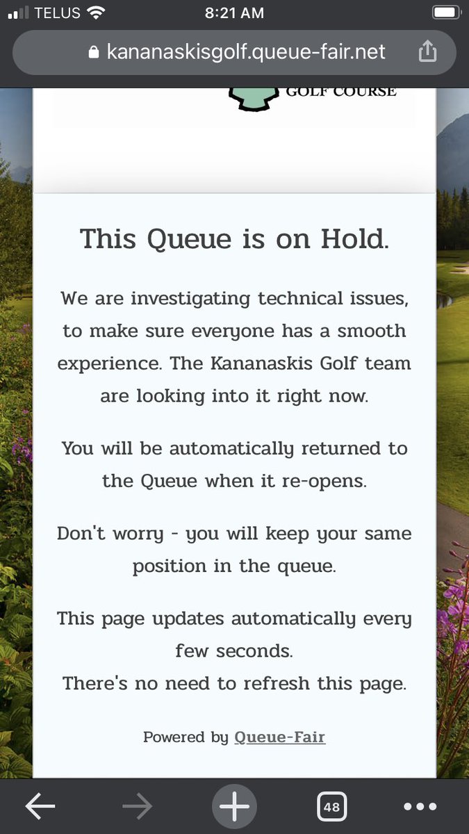 Morgan Bell tweet media