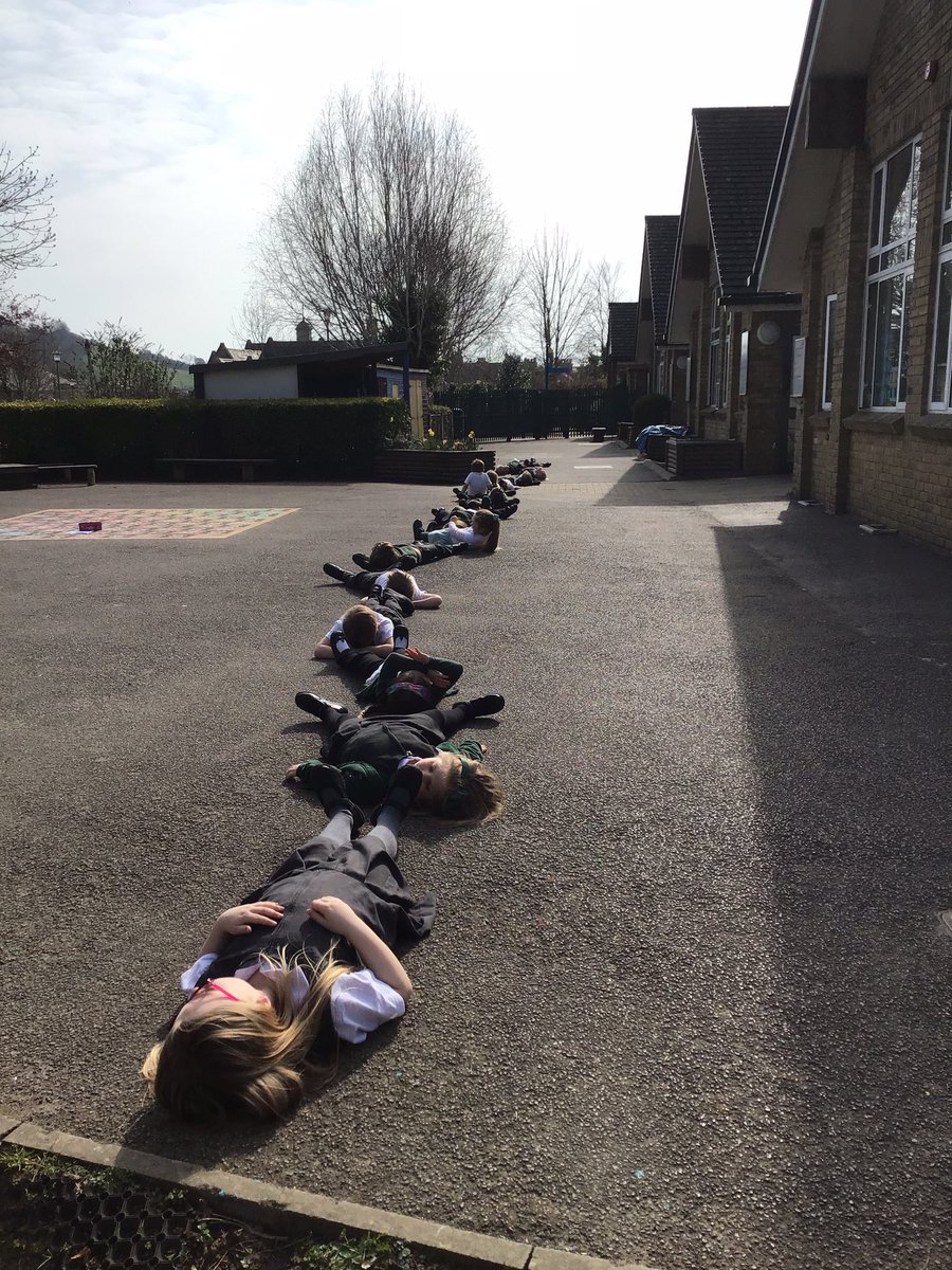 bps_Y1's tweet photo. Guess how long a diplodocus is? We loved using ourselves to see how long it would be if they were alive today! https://t.co/cW2DOAEbK7