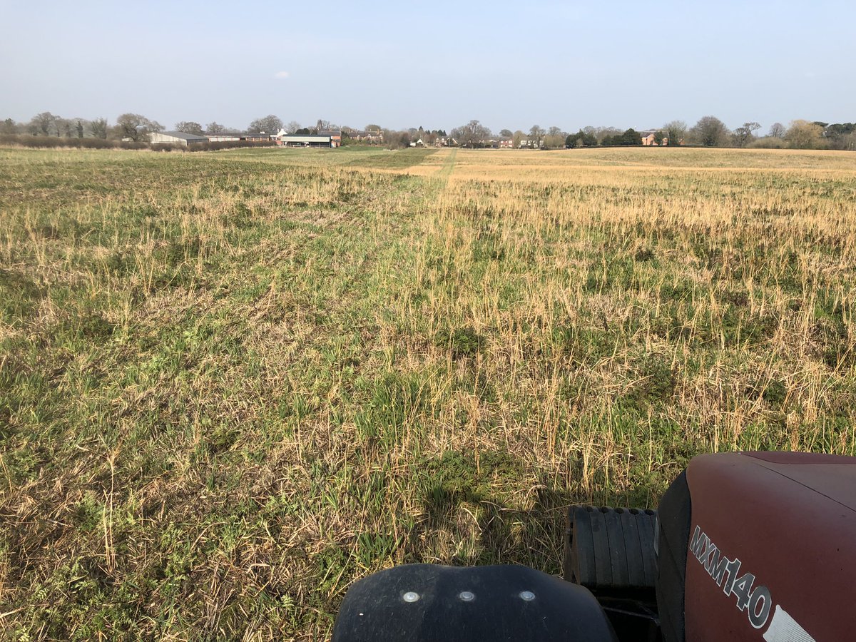 farmer_richardT's tweet photo. The sun is out and a perfect seedbed to sow Spring Beans into. #GDdrill @Weaving_Mach https://t.co/yoMktTuWbB