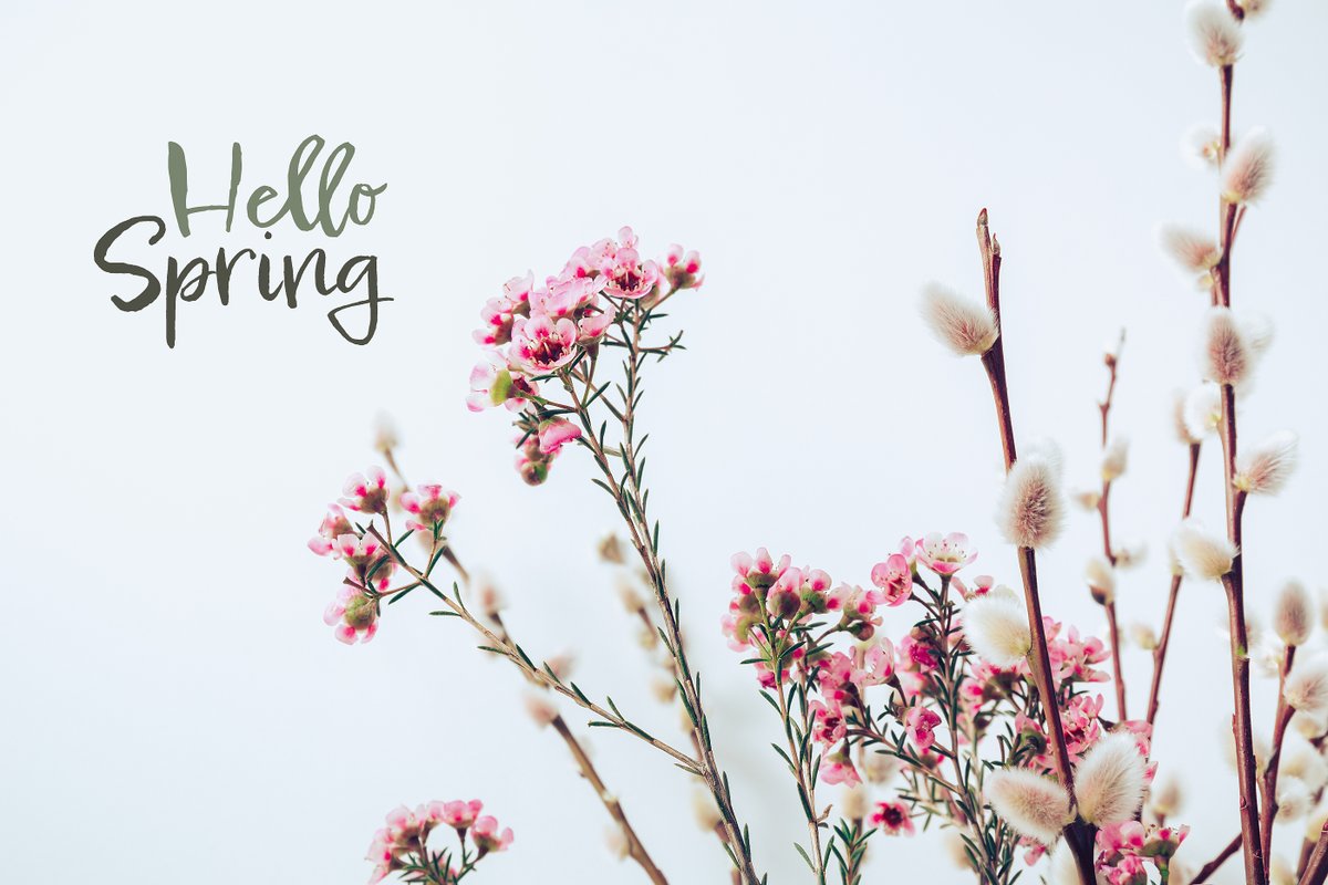Welcome to a new season! #Spring is here💐
With the change of seasons be sure to do 2 things:
1. Change the batteries in your smoke detectors
2. Change your toothbrush 
#TuesdayTip