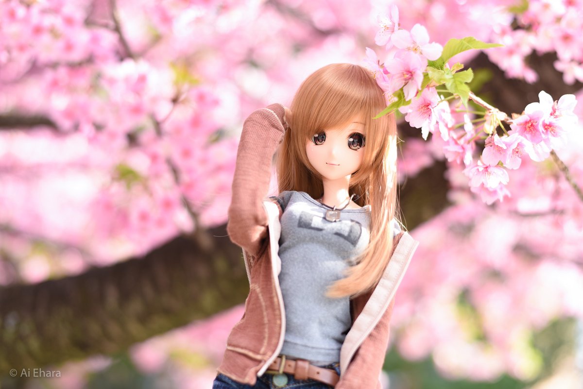 tomorokoshi's tweet photo. みらいちゃんとも桜撮影🌸
#aichanPHOTO #smartdoll #末永みらい #河津桜 #nissinjapan #i60A #Nikon #桜ポートレート #桜 https://t.co/2TdRsV12fe