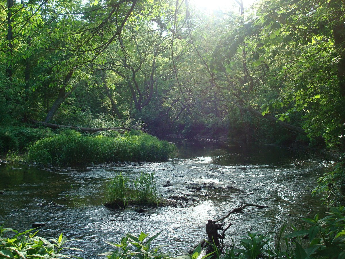 CreekFranklin's tweet photo. Happy #WorldWaterDay! #dyk that only 3% of the Earth’s water supply is freshwater, with only 0.5% of that available for our use! Thanks to the protection of places like Franklin Creek, we can make sure we are doing our part to decrease that number!
#franklincreek #fcca #fcsna https://t.co/qmMqvzz7KI