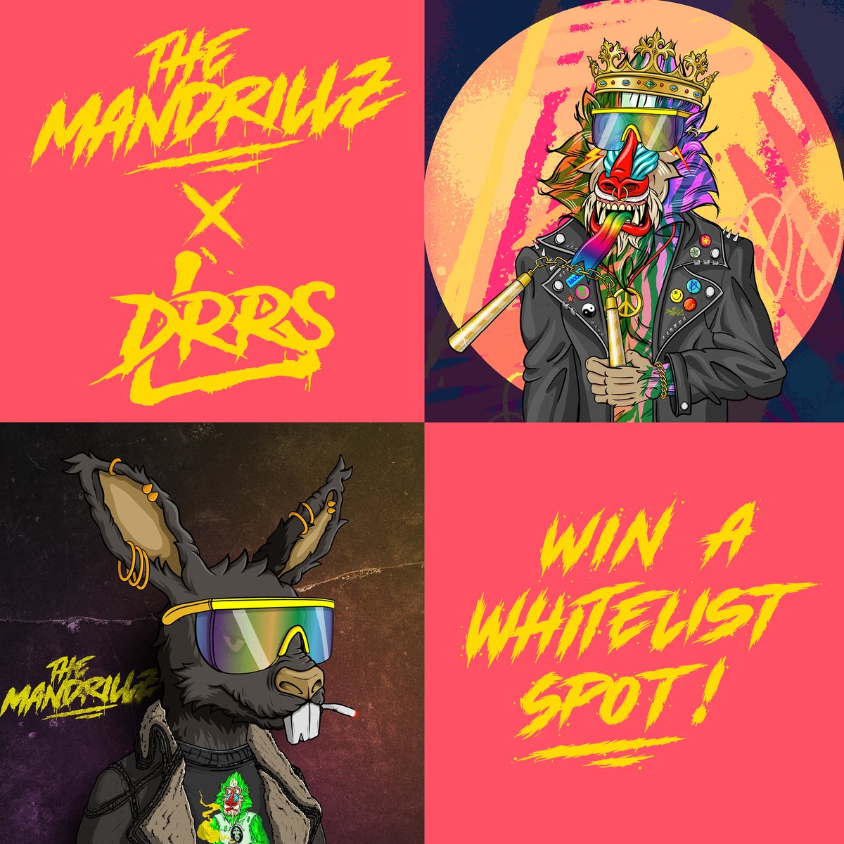 TheMandrillz's tweet photo. Good news everyone!
We partnered up with @DeadRabbitRS to work on future collabs. To celebrate that we are giving away 50 WL spots for their drop on march 28. The team made a rare Drillz themed rabbit to be included in the drop. Enjoy this nice utility for all Drillz holders! https://t.co/PKJzUhA1Vy
