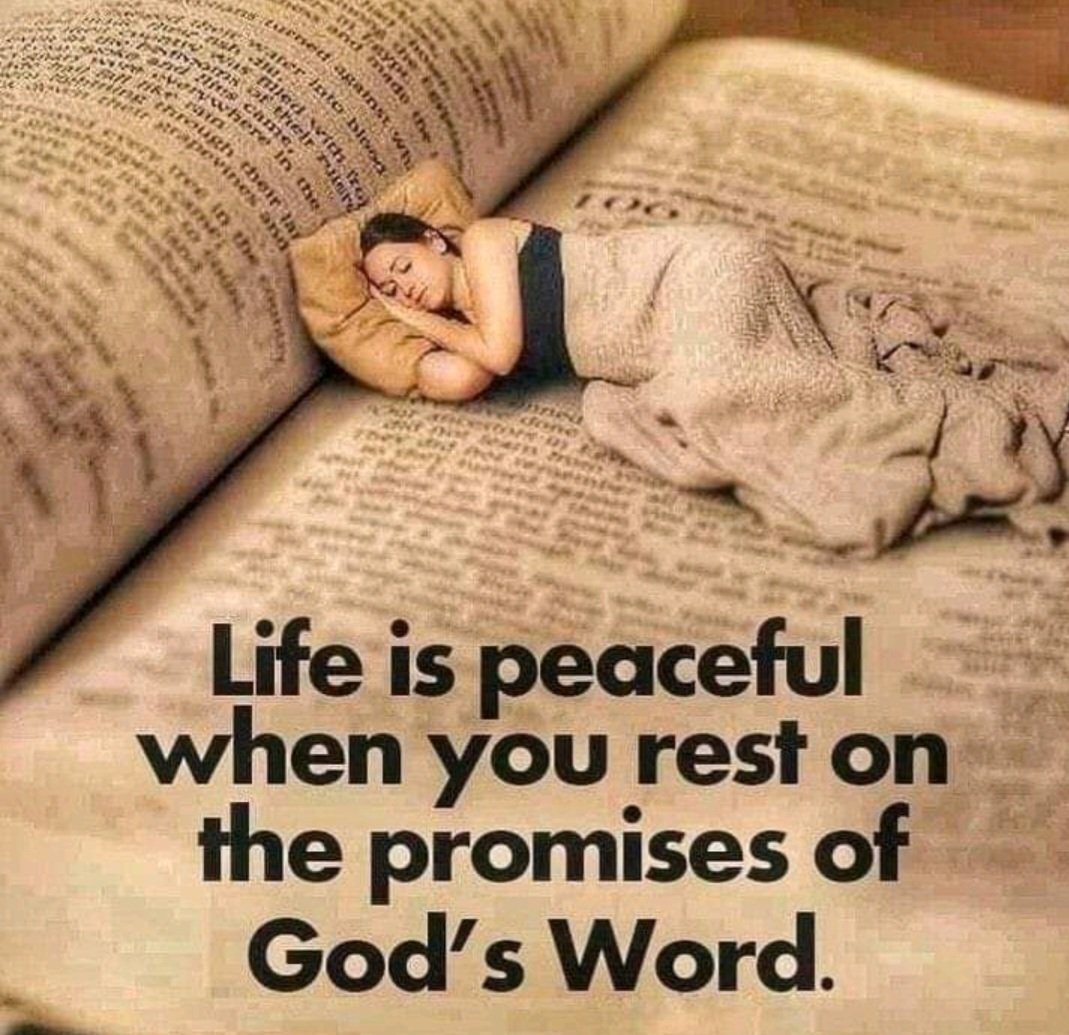 princessrae1's tweet photo. Leave it in God's hands. He will hold you. #godisgood https://t.co/tI6CF0bTcp