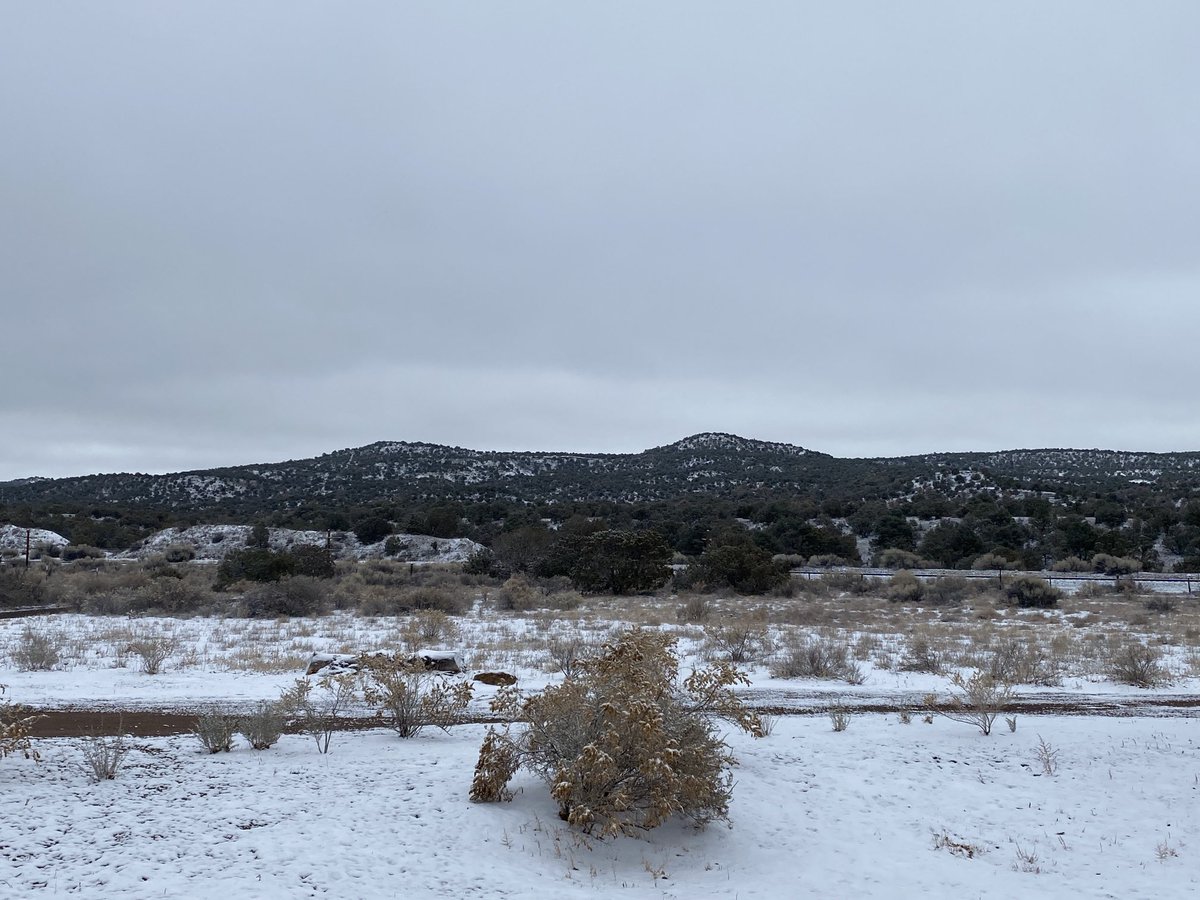 HeidiSocial's tweet photo. Rain all day yesterday, snow this morning — great for drought, not my floors. #NMwx #LifeInLamy #MuddyPups https://t.co/WOgJ7wePFF