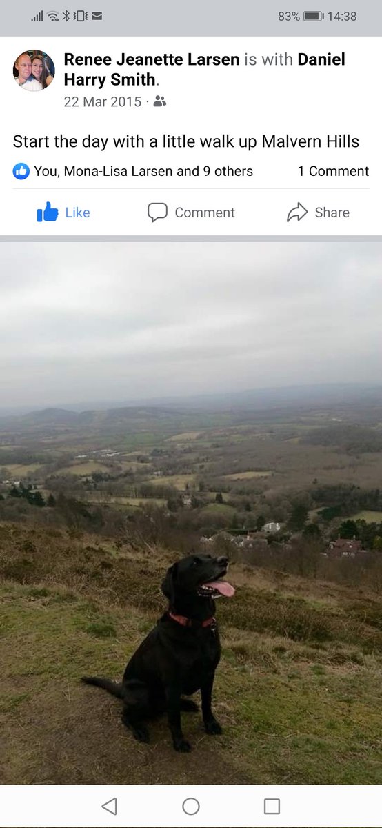 stokeyharry's tweet photo. Will was the best dog ❤️ https://t.co/heaLwTtNvB