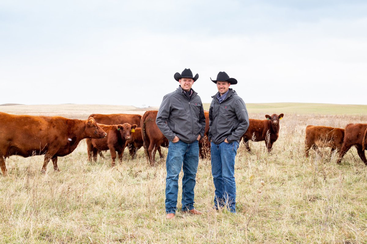 amlemm's tweet photo. On farm shoots will always be my favorite. #NationalAgDay https://t.co/hPCMRupPhI