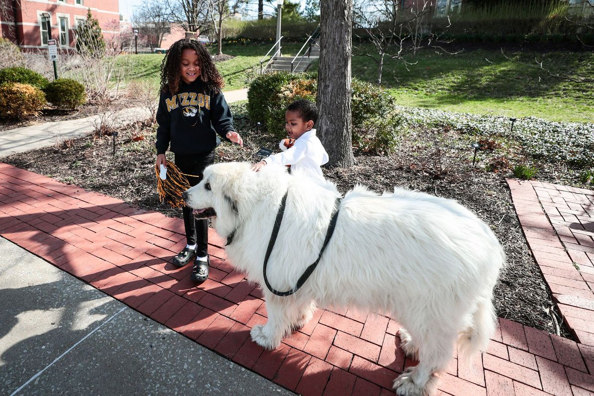 Welcome H🐯ME, <a href="/coachdgates/">Dennis Gates</a>!